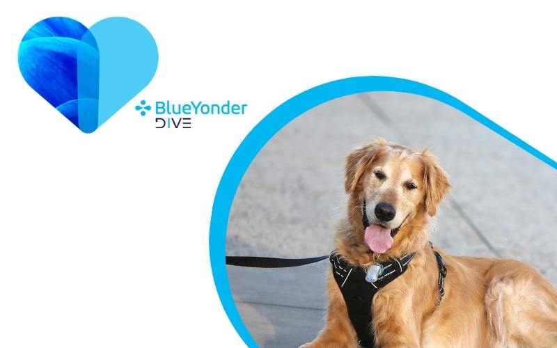 Paws for a Cause: How One Blue Yonder Associate Shares Her Story of Volunteerism and Canine Companionship