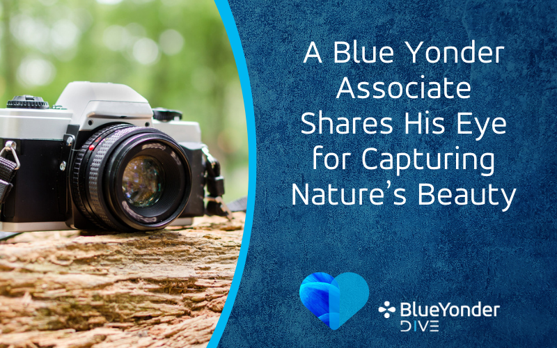 A Blue Yonder Associate Shares His Eye for Capturing Nature’s Beauty