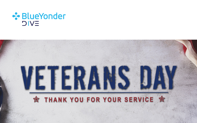 A Few Thoughts This Veterans Day